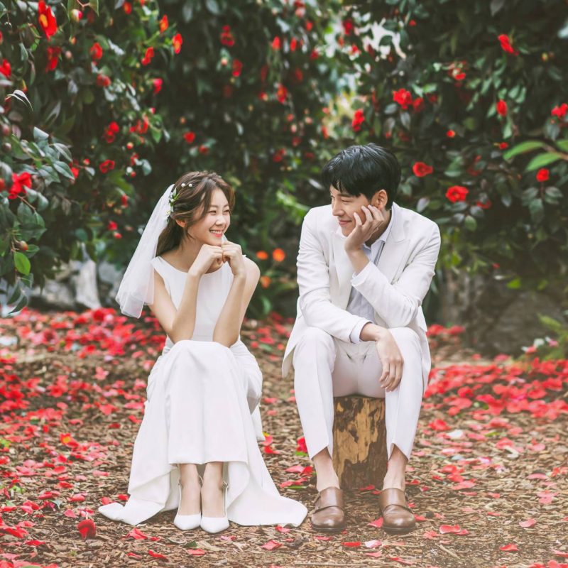 6c8c662c-0a88-4d14-9fbf-b37780c53fa2